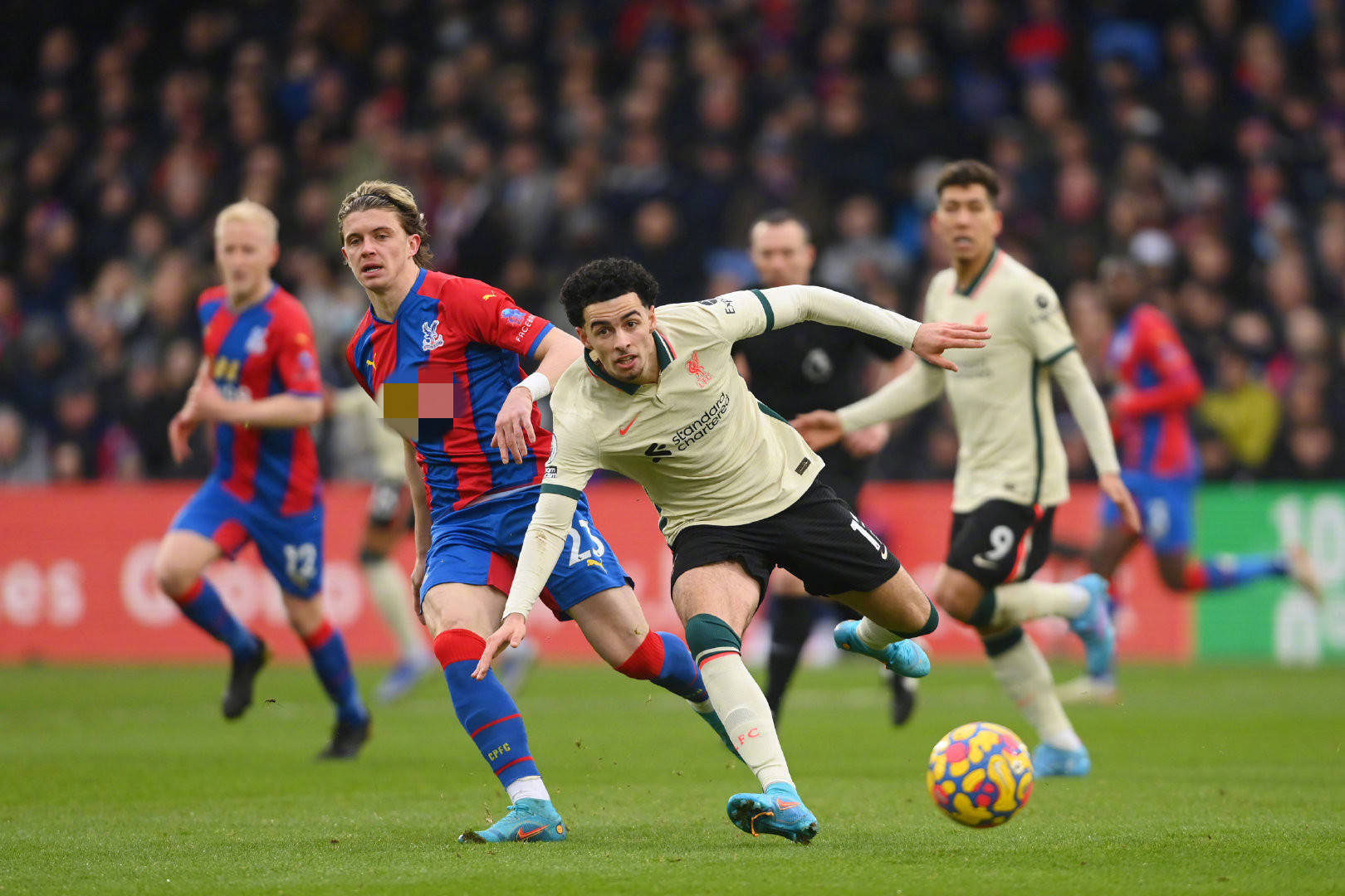 的俱乐部之 的俱乐部之